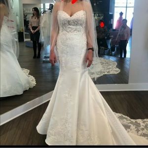 NEW w/ TAGS, Strapless Sweetheart Mermaid Wedding